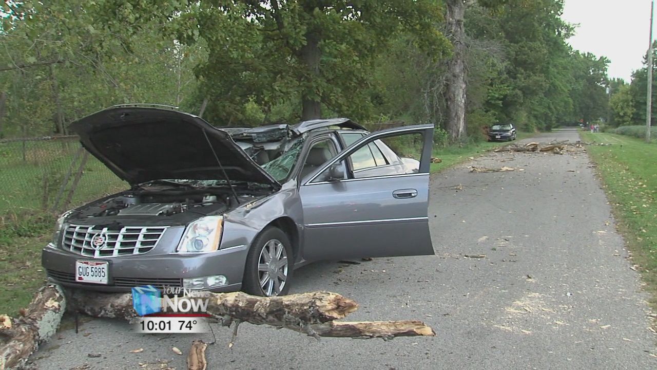 Man hurt by a tree limb after it crashes through his car's windshield 1.jpg